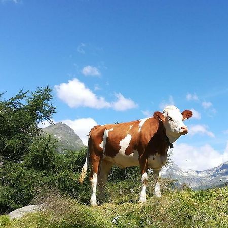 Simiterhof Matrei in Osttirol Exterior foto