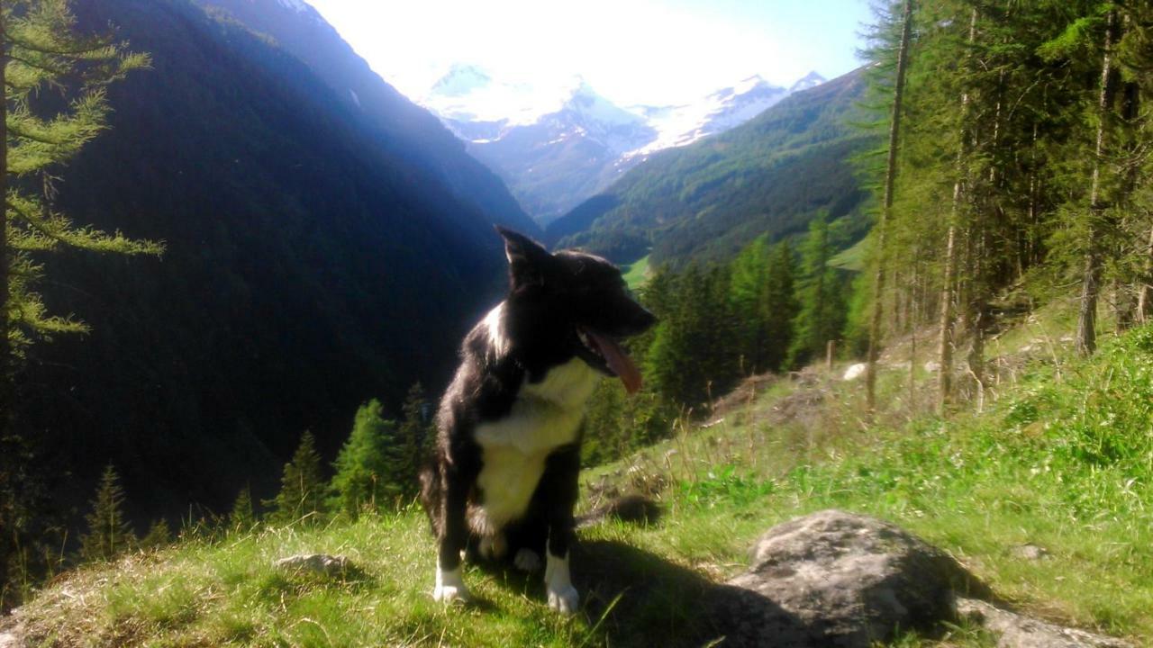 Simiterhof Matrei in Osttirol Exterior foto